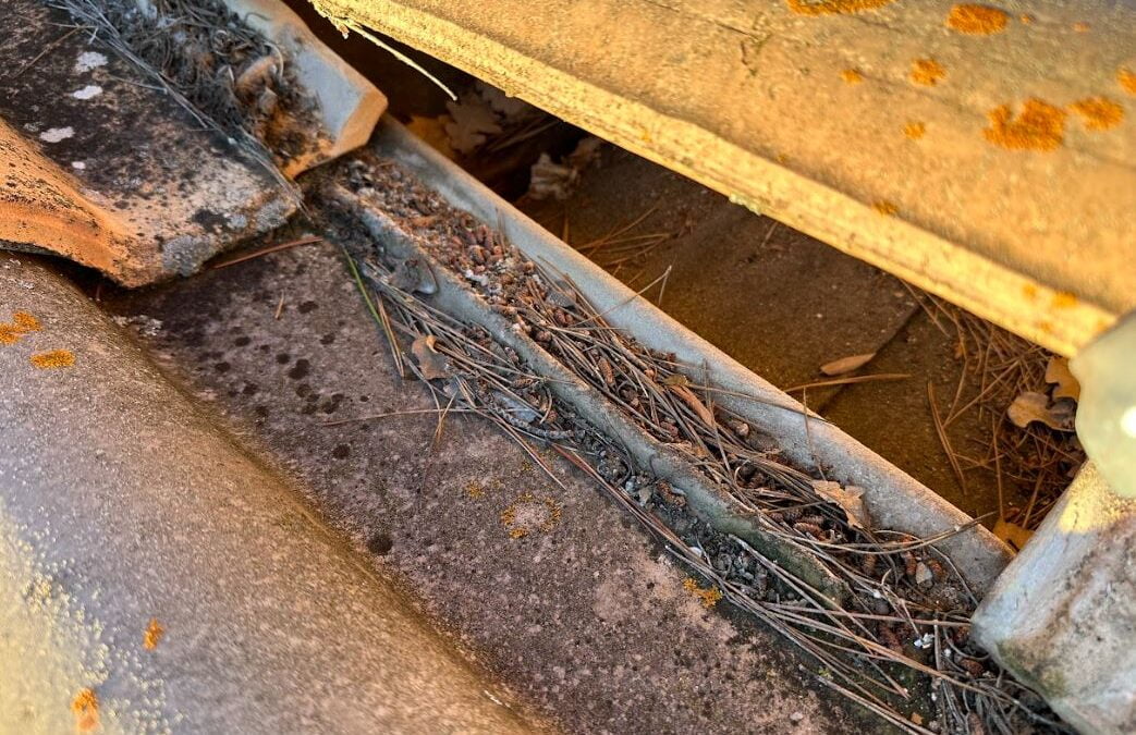 Comment Nettoyer les Débris de Votre Toiture (Épines de Pin et Autres) | Zinguerie Provençale