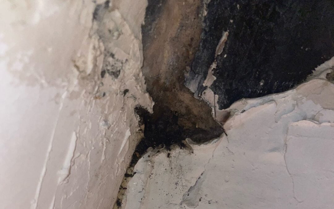 Détection et Identification des Fuites de Toiture | Zinguerie Provençale